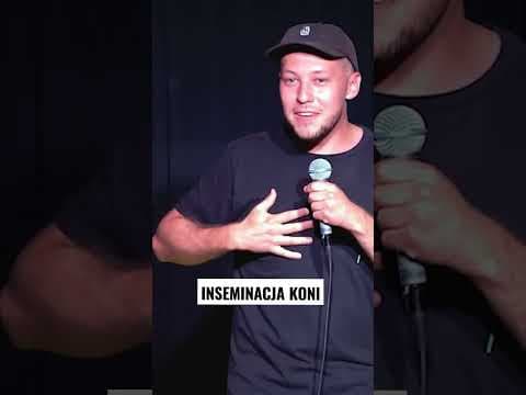 INSEMINACJA KONI