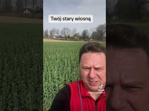 Bartosz Gajda: Dzieci, Twojstary, Wiosna