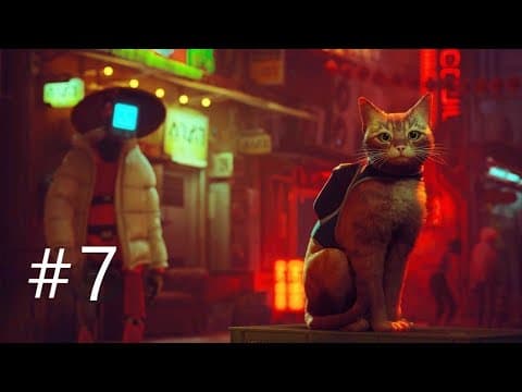 Jak Hanka w kartony! | Stray [PL]