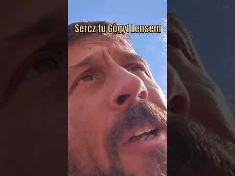 Nano Świnia Żółta
