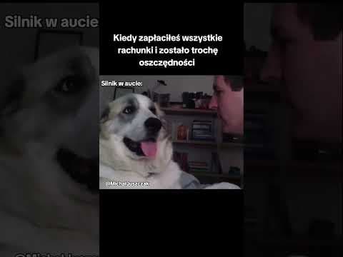 Okres wypłat, także pozdrawiam