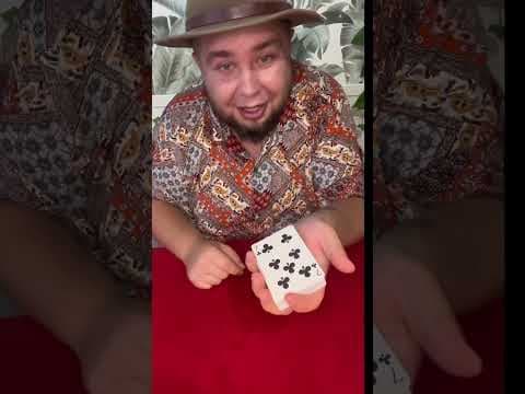 Obserwuj 7