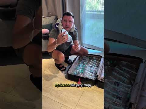 Jak zarobić na wakacjach ??