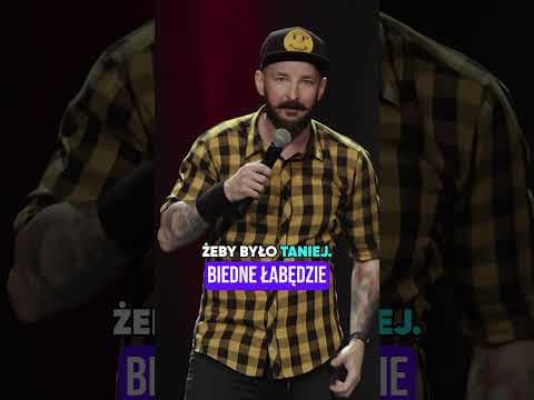 BIEDNE ŁABĘDZIE - Adam Van Bendler