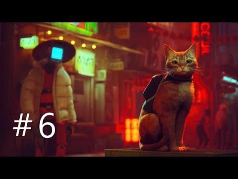 Big Kitty Life | Stray [PL]