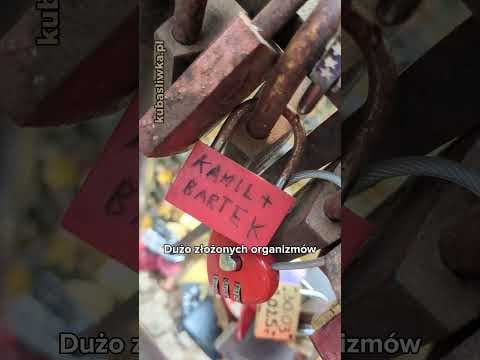 Potwierdzenie prawdziwej miłości??