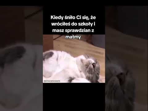Przynajmniej raz na rok pojawia się ten koszmar