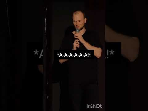 Wakacyjna wrzuta- trzy dzikie śmiechy