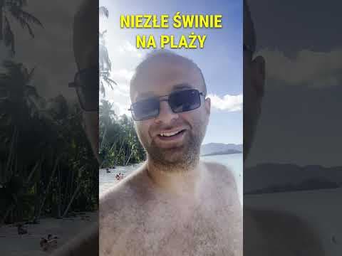 MARCIN ZBIGNIEW WOJCIECH STAND-UP Niezłe świnie na plaży