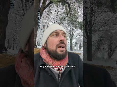 W Łańcucie?!