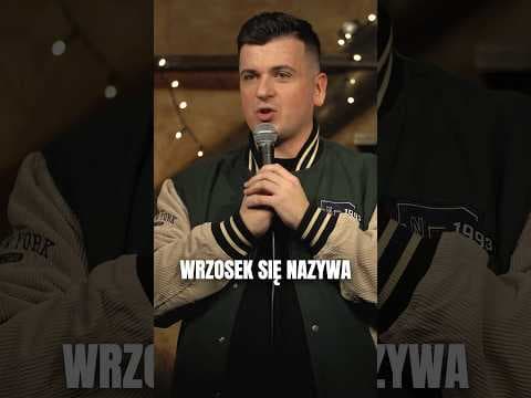 WRZOSEK