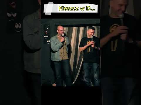 kleszcz w d