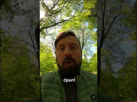 Szczotka do kibla