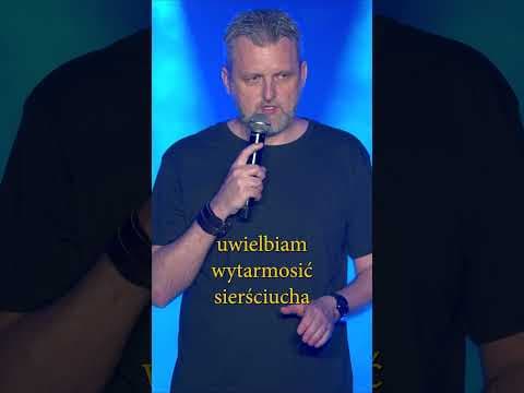 PIERWSZE KOTY