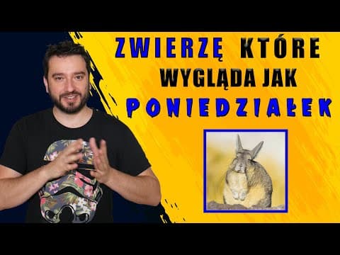 Zwierzę, które wygląda jak poniedziałek | NEWSY BEZ WIRUSA | Karol Modzelewski
