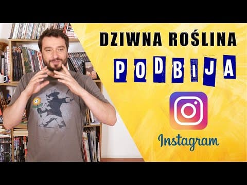Dziwna roślina podbija Instagram [REUPLOAD] | NEWSY BEZ WIRUSA | Karol Modzelewski
