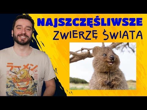 Najszczęśliwsze zwierzę świata | NEWSY BEZ WIRUSA | Karol Modzelewski
