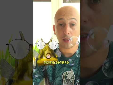 Jak znaleźć idealnego kochanka?