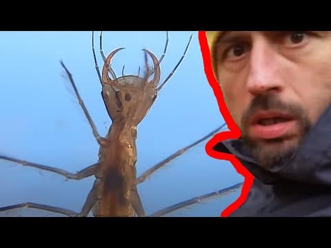 Takie stwory znalazłem w polskich mokradłach!