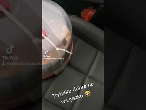 Fani trytytek zróbcie hałas!