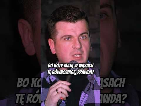 KOCIE WĄSY