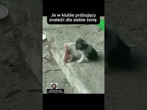 Inaczej nie potrafię