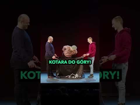 Kotara przeznaczenie