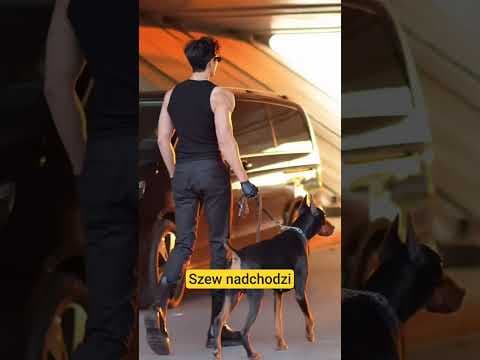 szew nadchodzi