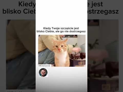 Nawet jakbym się potknął to bym nie zauważył