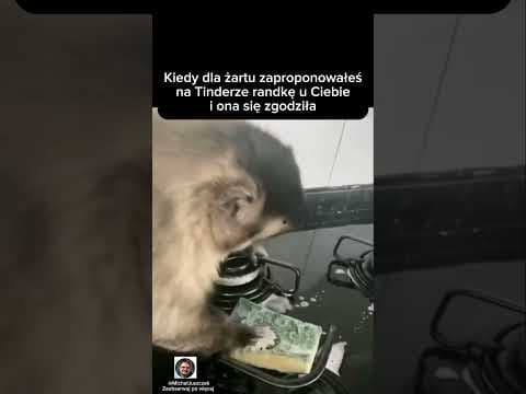 A mógł człowiek sprzątać od razu po sobie