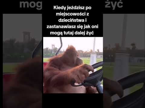 Też macie takie myśli wracając w rodzinne strony?