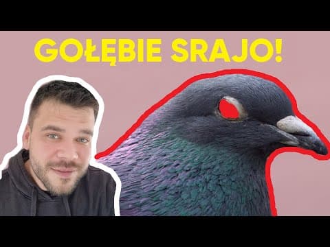 POMOCY, GOŁOMP! | szopka odc. 103