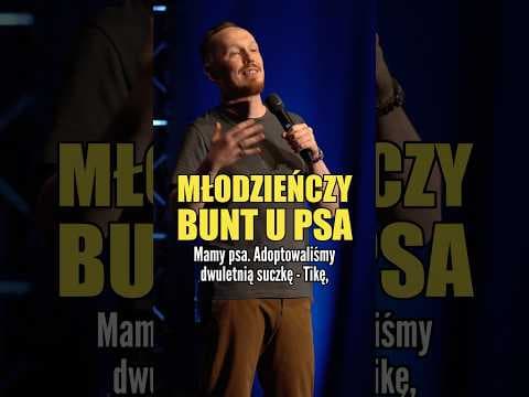 MŁODZIEŃCZY BUNT U PSA