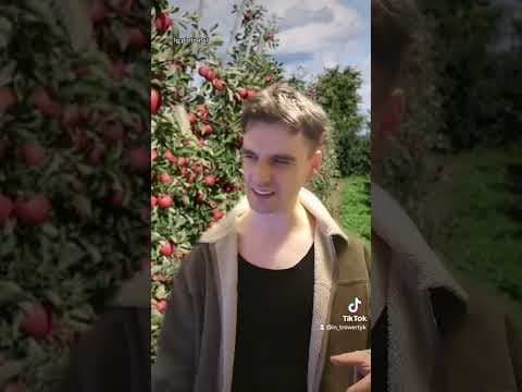 M jak Marcin