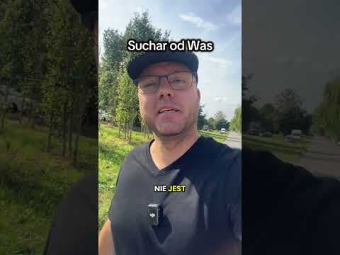 Suchar od Was o Chińczyku