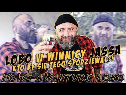 LOBO W WINNICY JASSA - kto by się tego spodziewał?! | NOWE AWANTURY LOBO