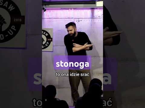stonoga #