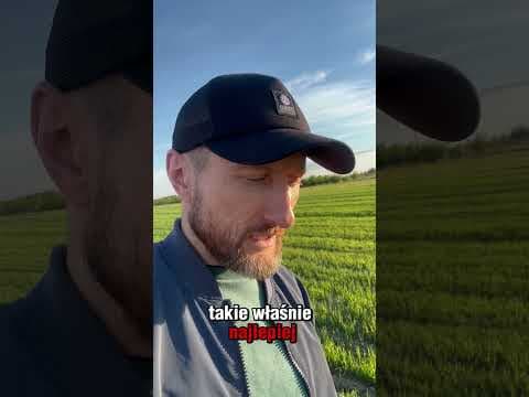 No ładny dzień