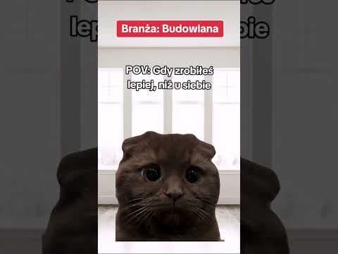 Poglądowa rolka dla branży Budowlanej. Stworzona na kurs "Komedia w Social mediach".