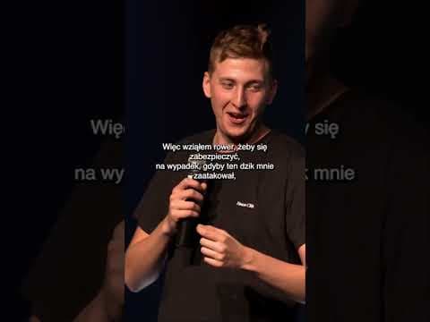 Piotrek Szumowski - Dzik