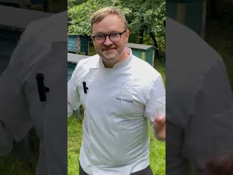 Kucharz Maciej - Miodek niedźwiadek
