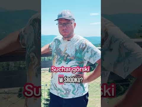 Suchar Górski