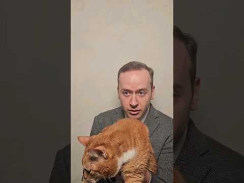 kot pocztowy...