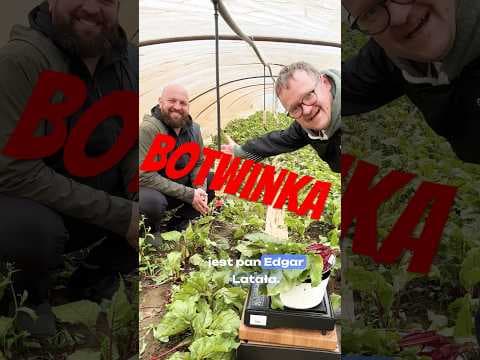Botwinka z młodych warzyw. Nie ma nic lepszego!!!