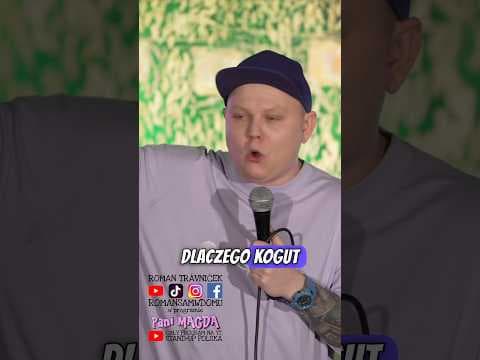 Kogut