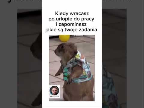 Wakacyjny vibe