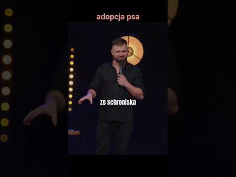 czy adopcja psa naprawi związek?