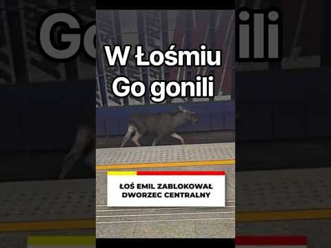 ZŁAPALI łososia