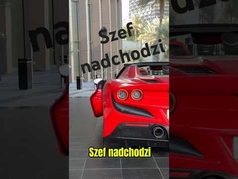 Szef nadchodzi edycja after christmas