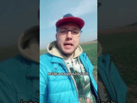 Suchar muzyczny